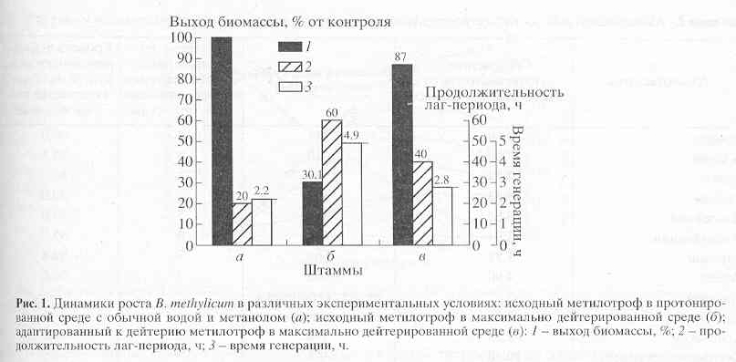  ,       B. methylicum [..]