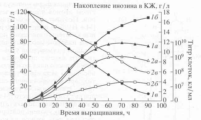 Growth dynamics of B. subtillis on heavy water [O.V.Mosin]