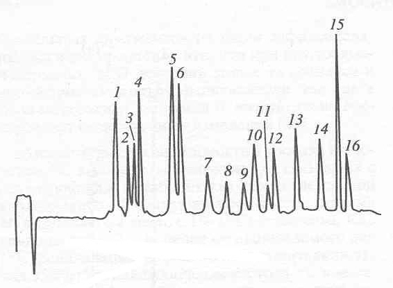 Chromatographic separation of amino acids from biomass hydrolisate [O.V.Mosin]