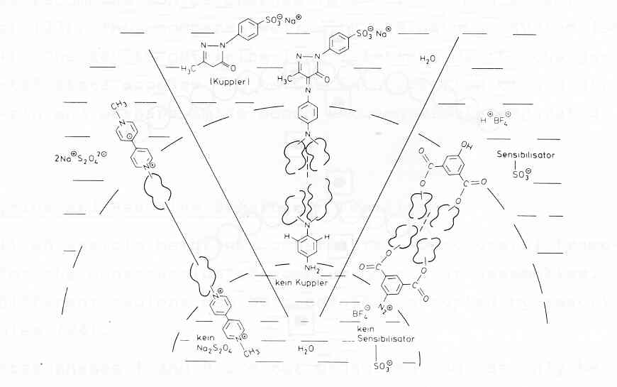 Three examples of reactive head groups in membrane. [O.V.Mosin]